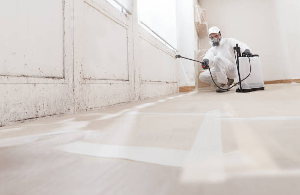 24/7 Emergency Attic Mold Removal experts in Clinton, WA