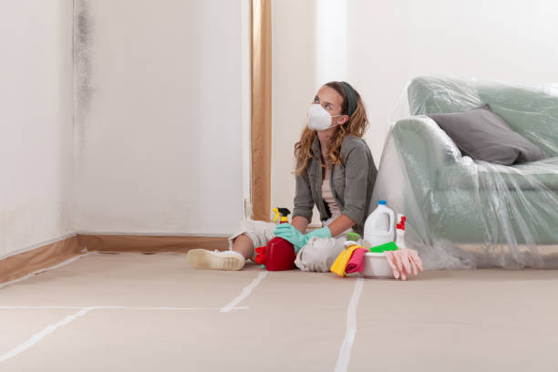 Reliable Attic Mold Removal contractor in Clinton, WA by WQB Mold Removal